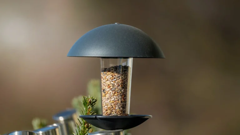 What to Feed Backyard Birds: A Food and Seed Guide by Species